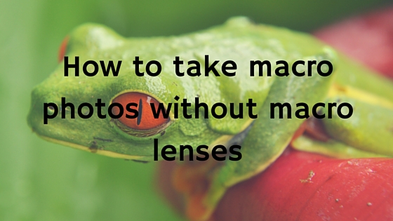 how-to-take-macro-photos-without-macro-lenses