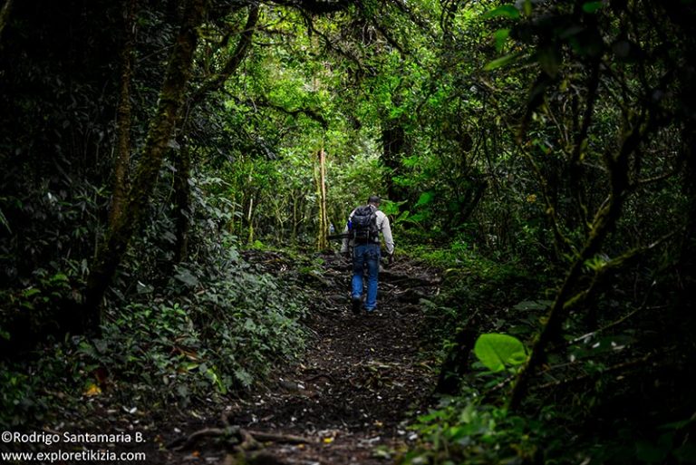 Tips for visiting Juan Castro Blanco National Park The Park of Waters