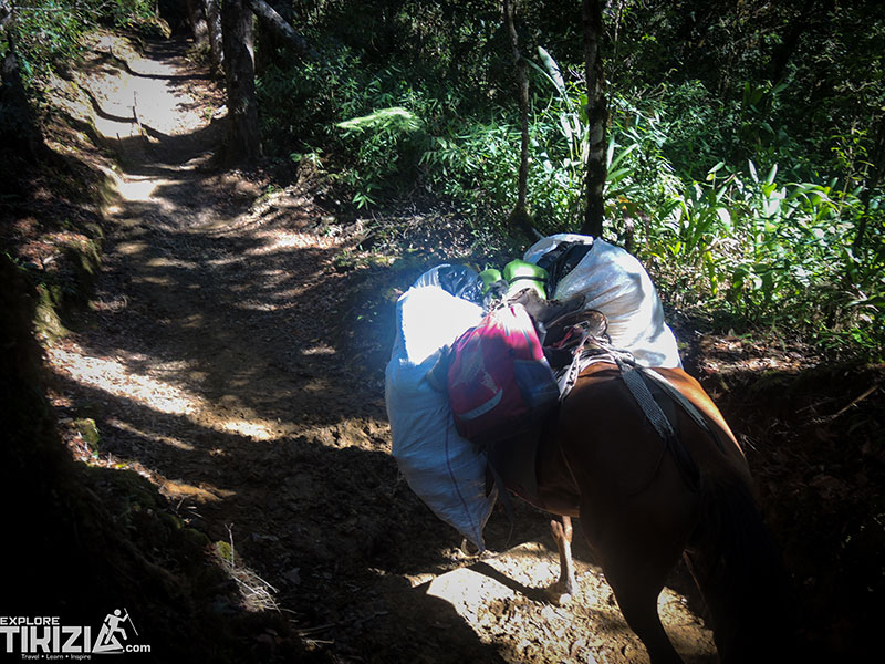 tour al cerro chirripo